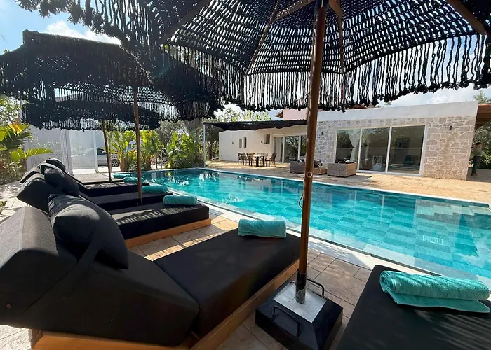 فيلة Splendide *